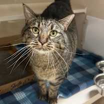 Thumbnail photo of Sammy #3