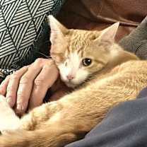 Thumbnail photo of Jack #3