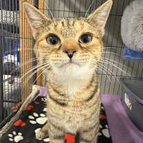 Thumbnail photo of Loretta #1