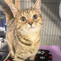 Thumbnail photo of Loretta #2