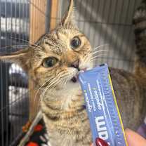 Thumbnail photo of Loretta #3