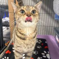 Thumbnail photo of Loretta #4