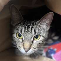 Thumbnail photo of Edwina #3