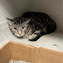 Thumbnail photo of Edwina #4