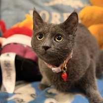 Thumbnail photo of Prosecco #1