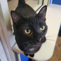 Thumbnail photo of Calina #2