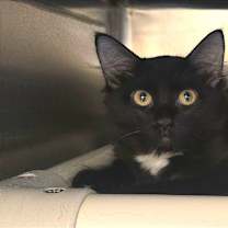 Thumbnail photo of Paula #1