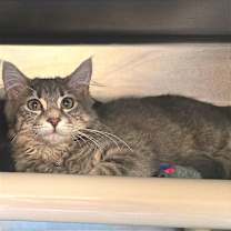 Thumbnail photo of Georgia #1