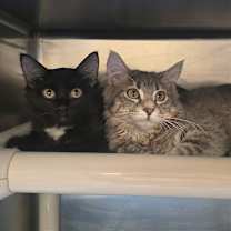 Thumbnail photo of Paula #3