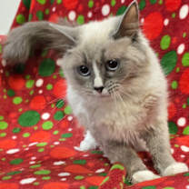 Thumbnail photo of Eden #2