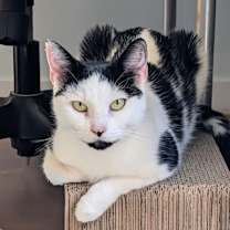 Thumbnail photo of Winter #1