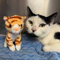 Thumbnail photo of Winter #2