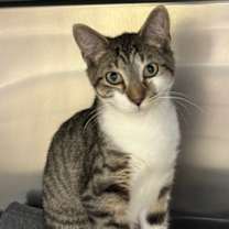 Thumbnail photo of Relish #1