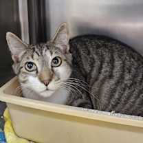 Thumbnail photo of Relish #2