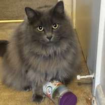 Thumbnail photo of Max #1