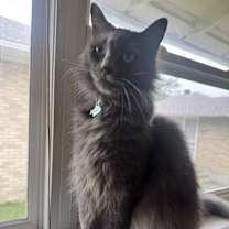 Thumbnail photo of Max #2