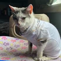 Thumbnail photo of Lana #2