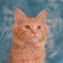 Thumbnail photo of Linny #1