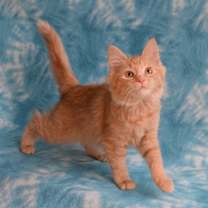 Thumbnail photo of Linny #2