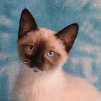 Thumbnail photo of Skylar  #1