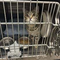 Thumbnail photo of Kasumi #3