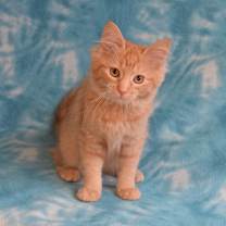 Thumbnail photo of Linny #3