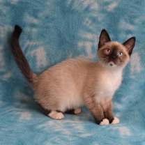 Thumbnail photo of Skylar  #2