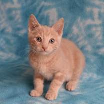 Thumbnail photo of JayJay  #4