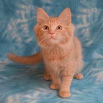 Thumbnail photo of Linny #4