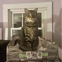 Thumbnail photo of Gunner #1