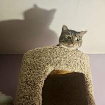 Thumbnail photo of Gunner #2