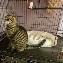 Thumbnail photo of Gunner #3