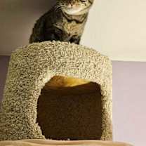 Thumbnail photo of Gunner #4