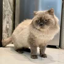 Thumbnail photo of Luke #1