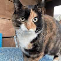 Thumbnail photo of Candy H. #1