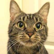 Thumbnail photo of Ella Belle #1