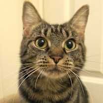 Thumbnail photo of Ella Belle #3