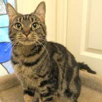 Thumbnail photo of Ella Belle #4