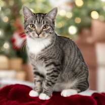 Thumbnail photo of BabyGirl #1