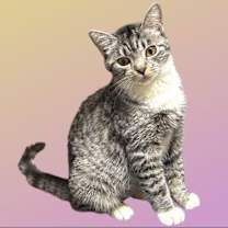 Thumbnail photo of BabyGirl #2