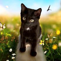 Thumbnail photo of Holly #1