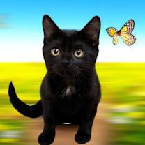 Thumbnail photo of Holly #2