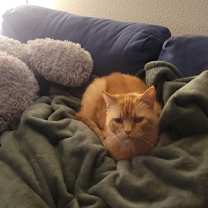 Thumbnail photo of Autumn #3