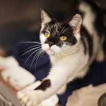 Thumbnail photo of Babsy #2