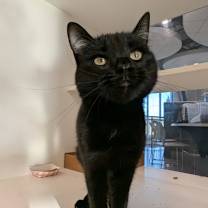 Thumbnail photo of Honey #2