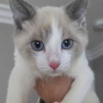 Thumbnail photo of Gabriel #2