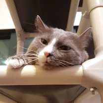 Thumbnail photo of Smokey #3