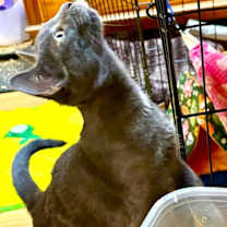 Thumbnail photo of Church #1