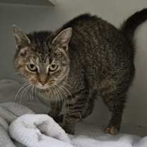 Thumbnail photo of Vince #1