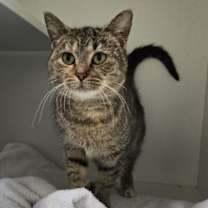 Thumbnail photo of Vince #2